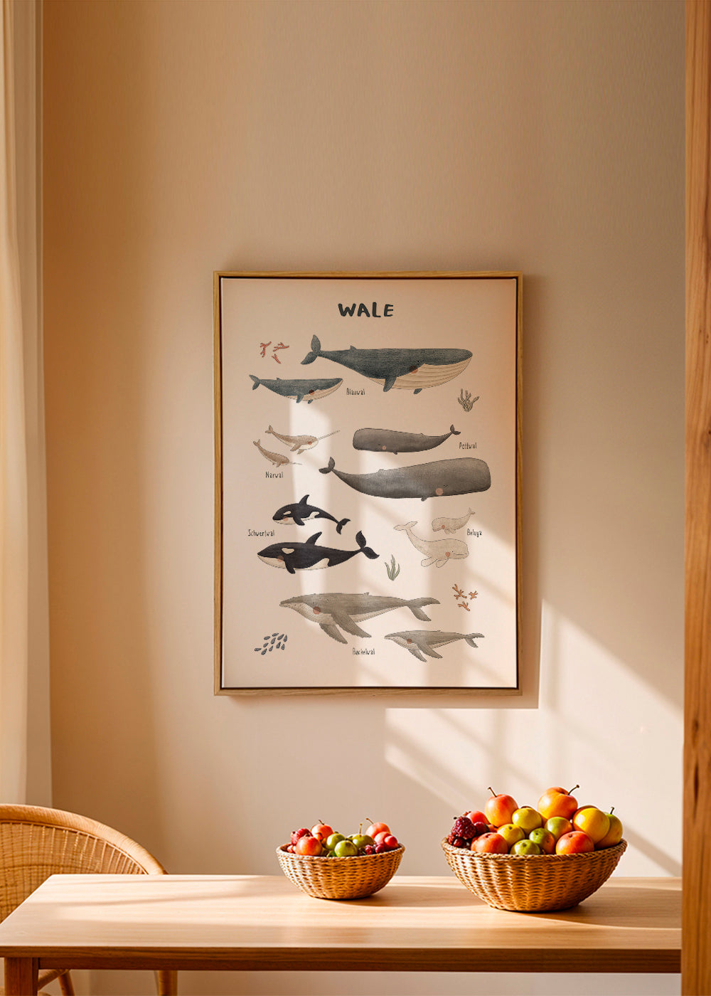 Ballenas fondo blanco (aleman)