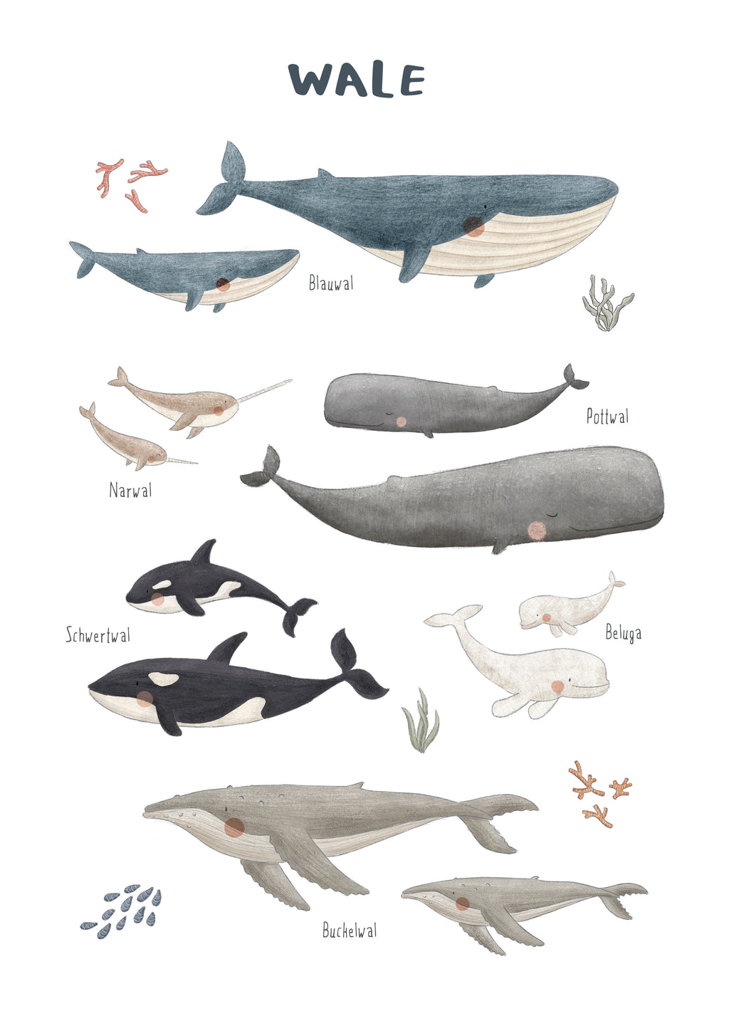 Ballenas fondo blanco (aleman) - Unframed art print