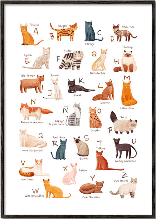 Children's print: Illustrated cat alphabet