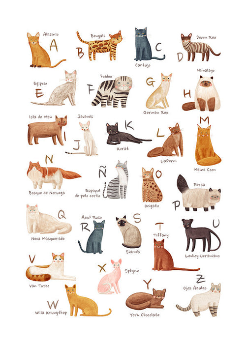 Children's print: Illustrated cat alphabet