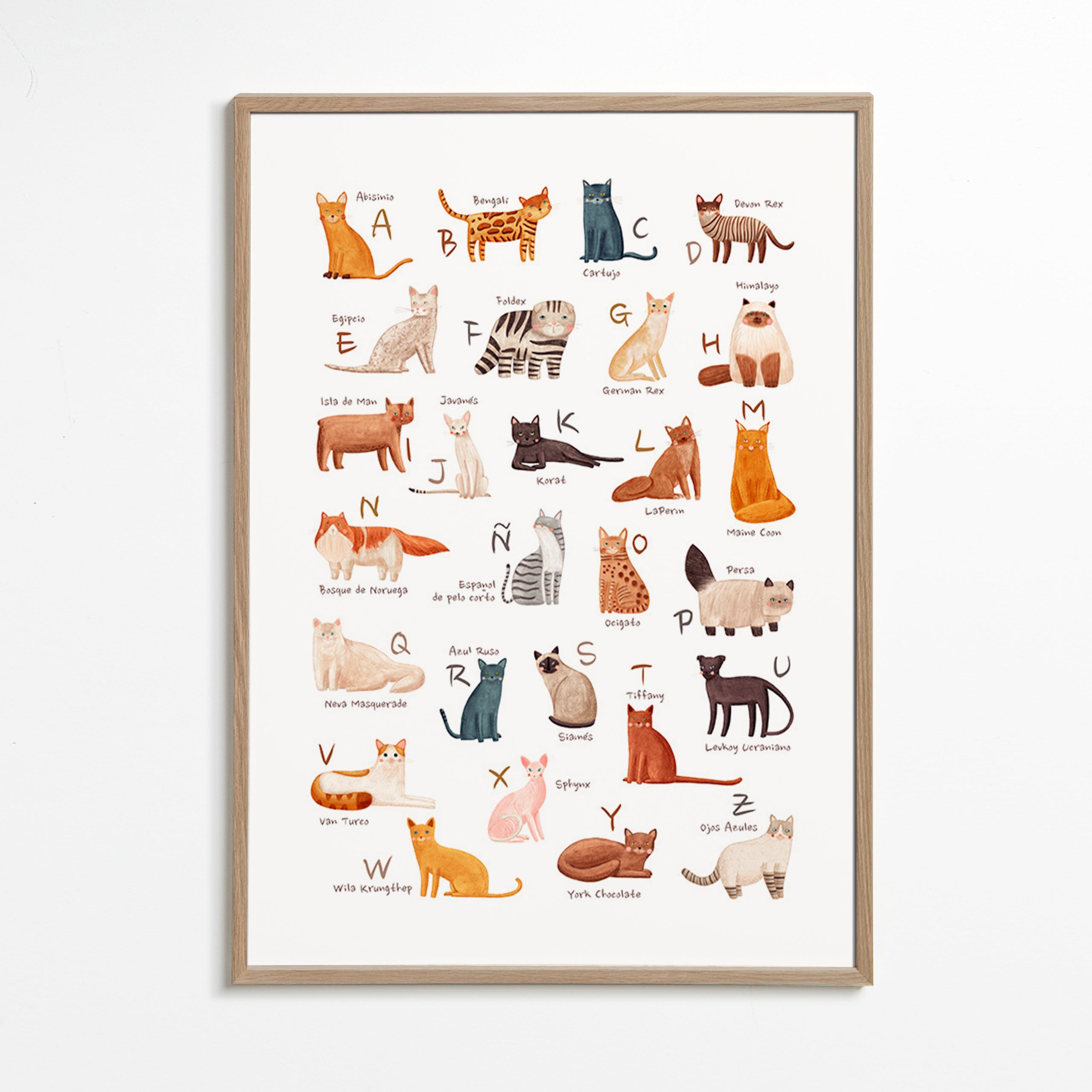 Children's print: Illustrated cat alphabet