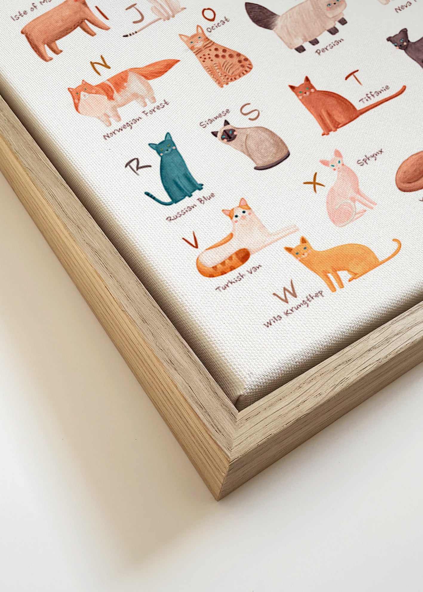Children's print: illustrated cat alphabet