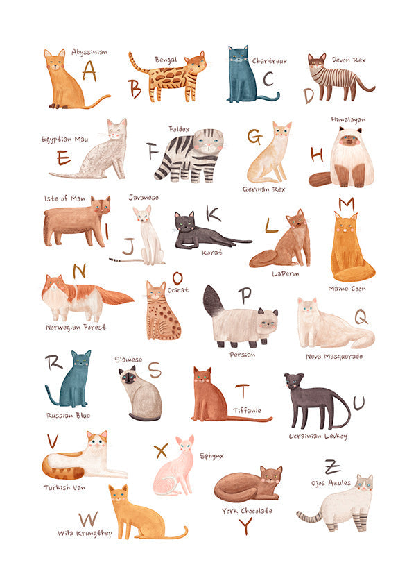 Children's print: illustrated cat alphabet