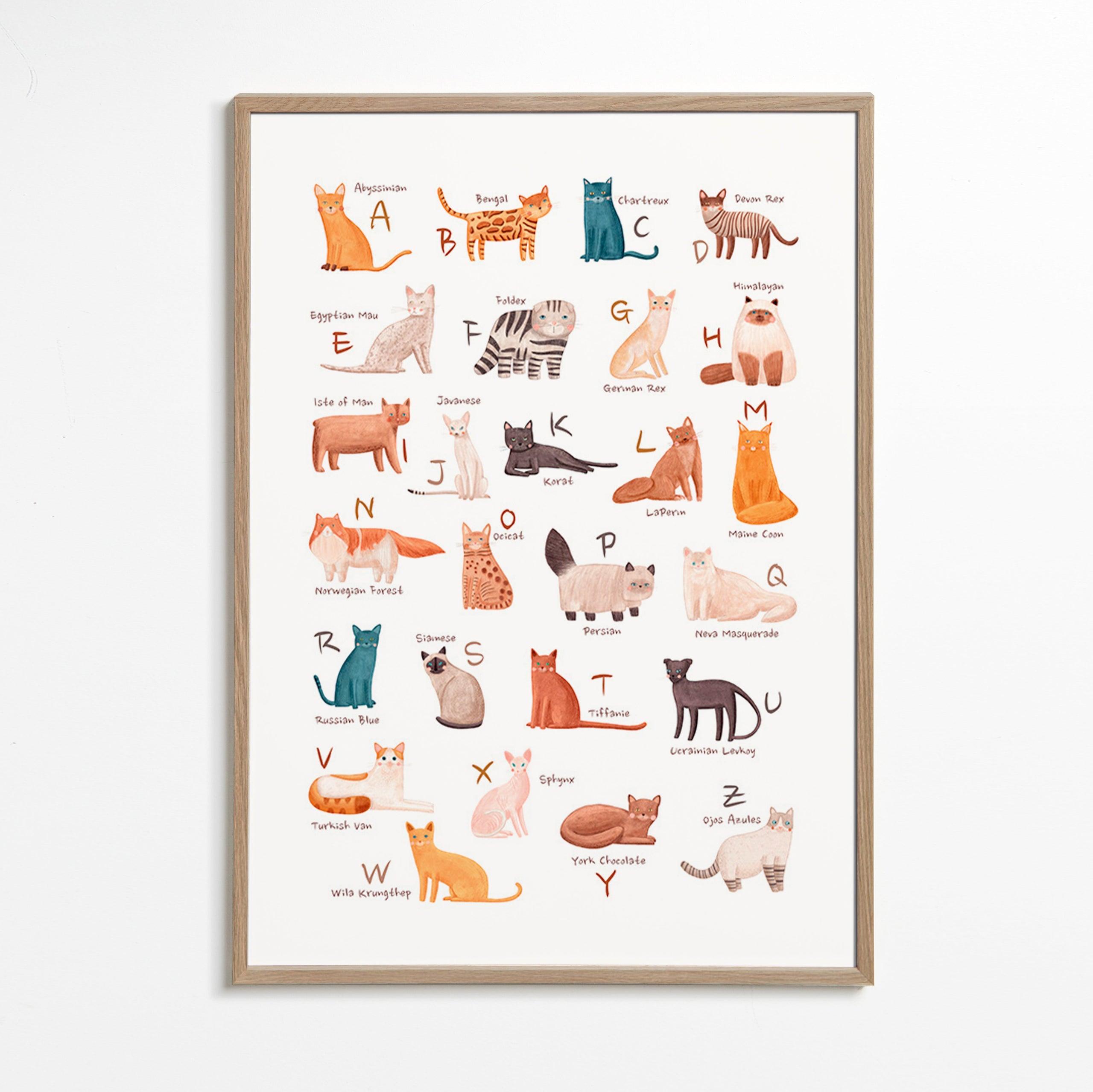 Children's print: illustrated cat alphabet