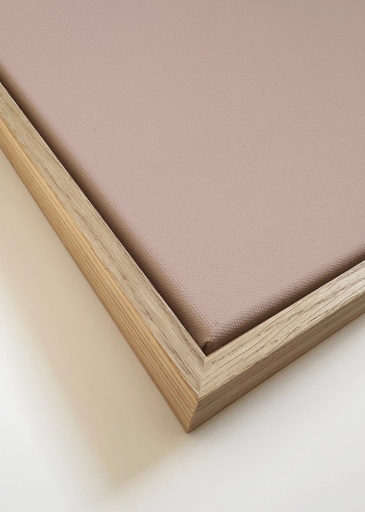 Lion - Framed canvas detail