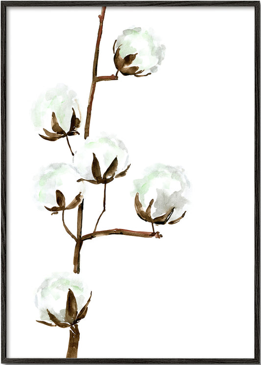 Watercolor cotton branch II