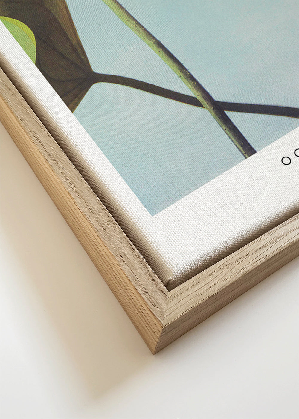 Ogawa Kazumasa Lotus Flowers