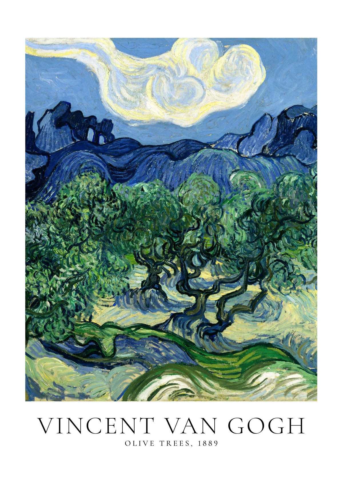 Vincent Van Gogh Olive trees - Unframed art print