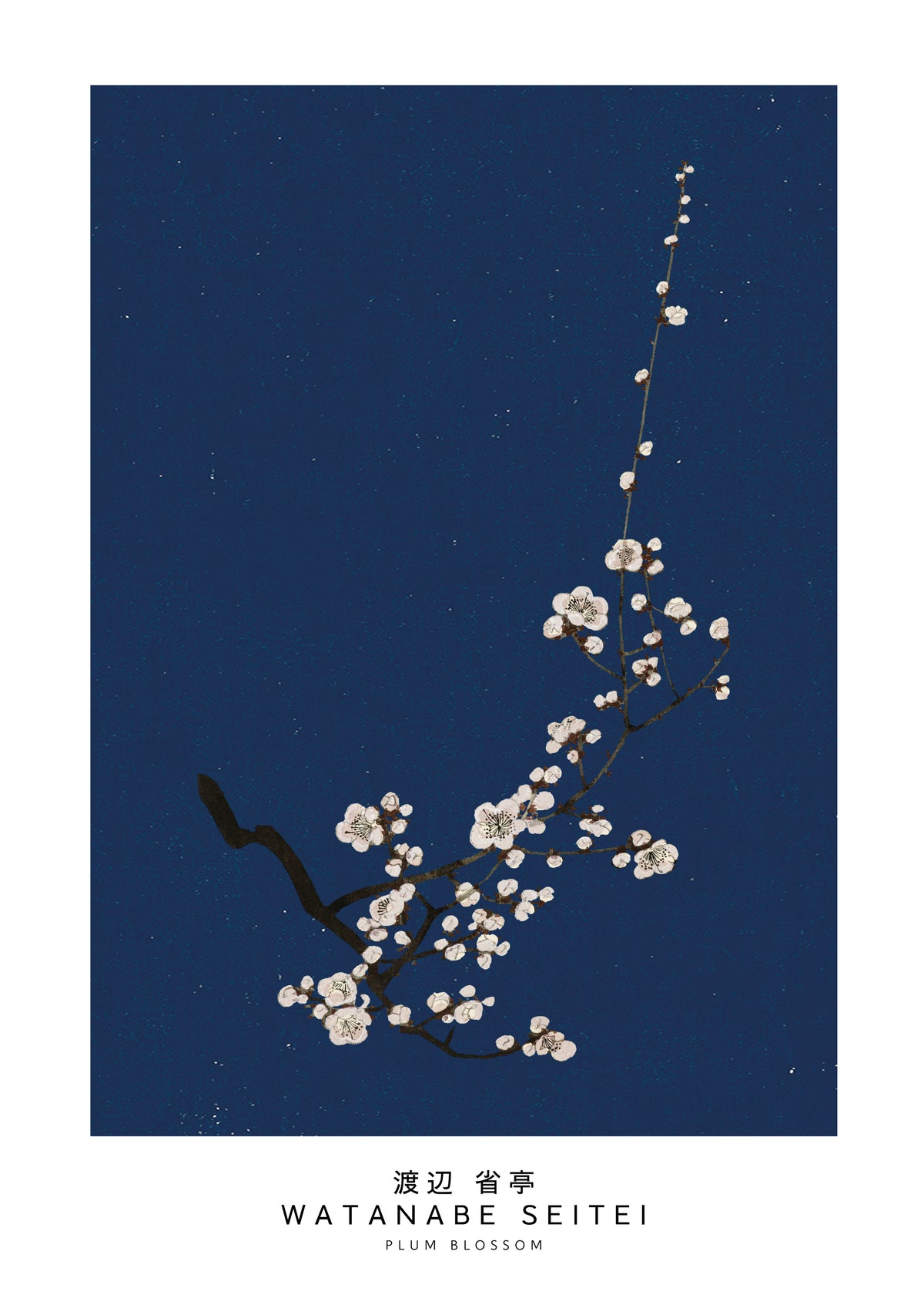 Watanabe Seitei Plum Blossom - Unframed art print