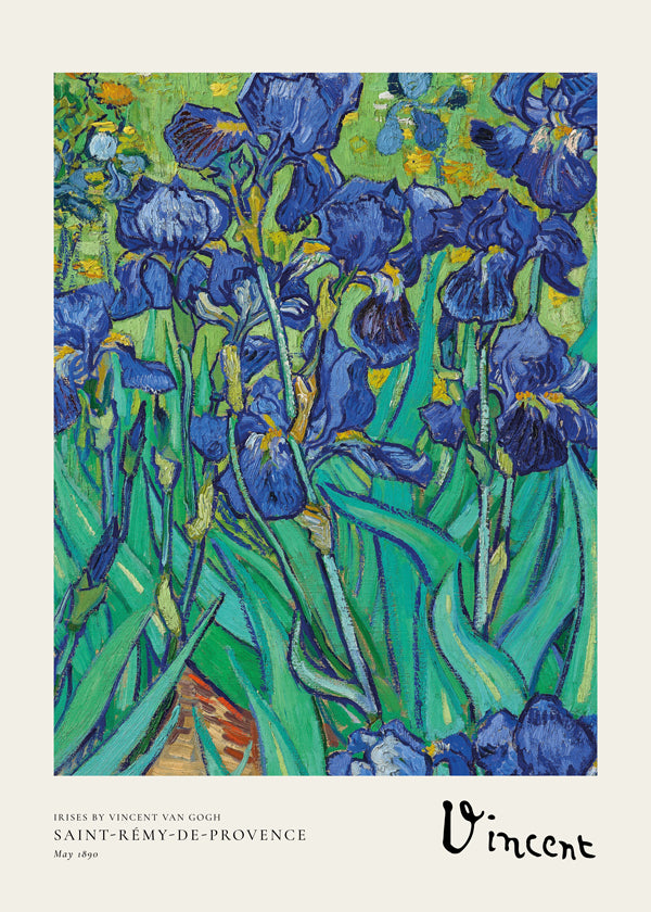 Irises by Vincent van Gogh