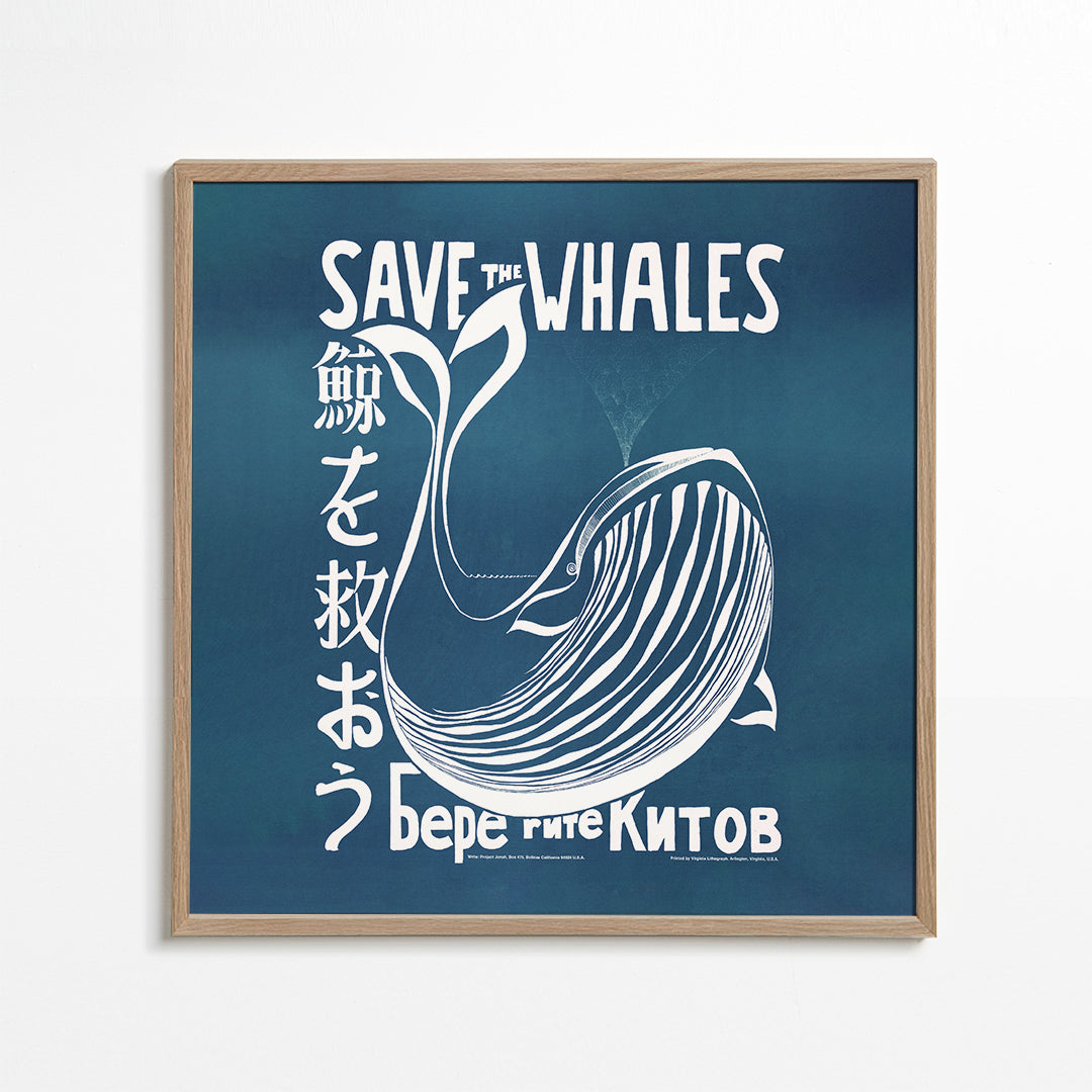 Save the whales (1973) vintage poster by Vint Lawrence - Square