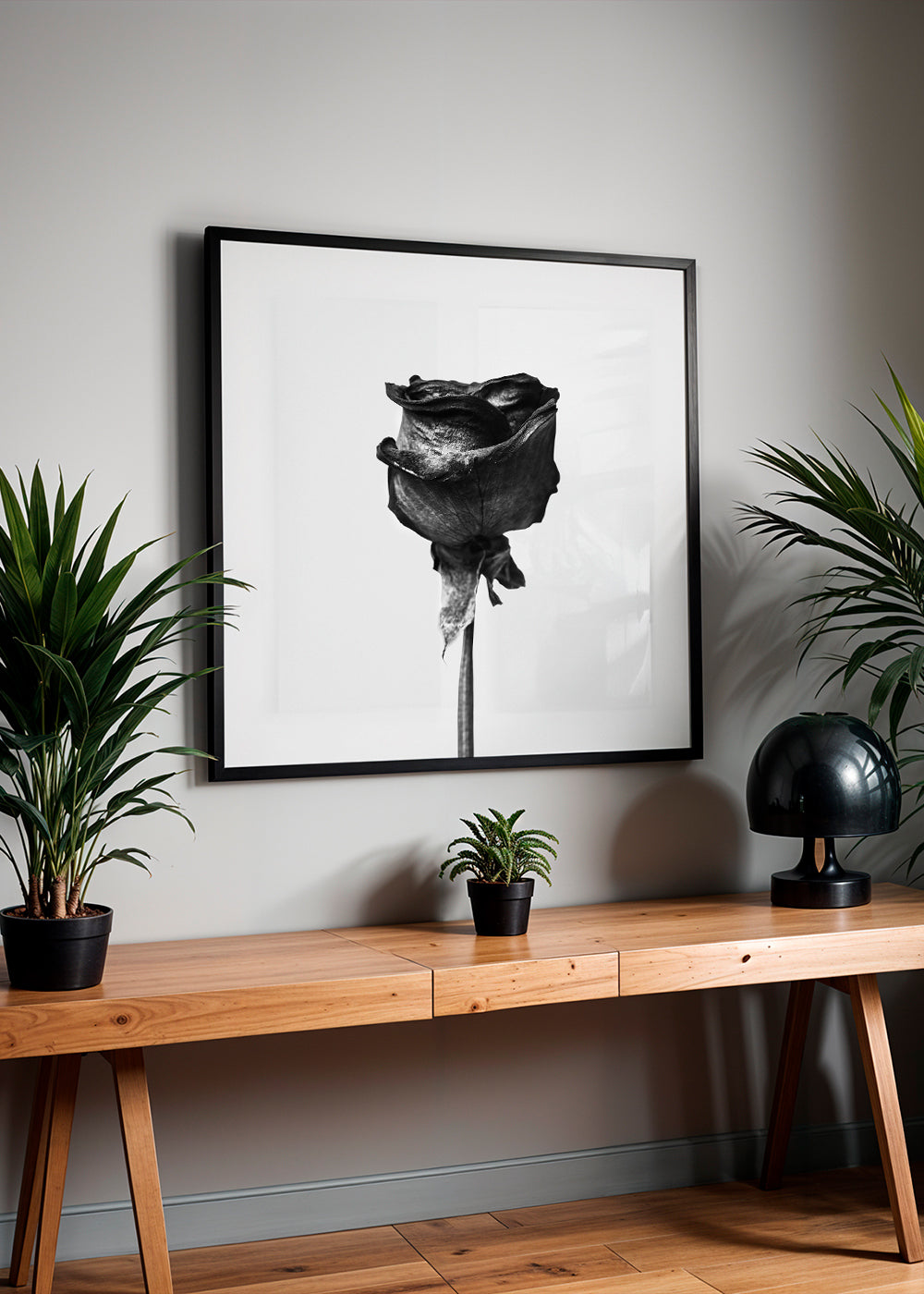 Dried rose black and white photograph - Square