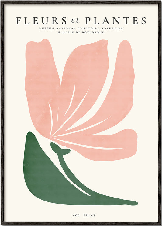 Botanical, Fleurs et plantes - Poster No. 3