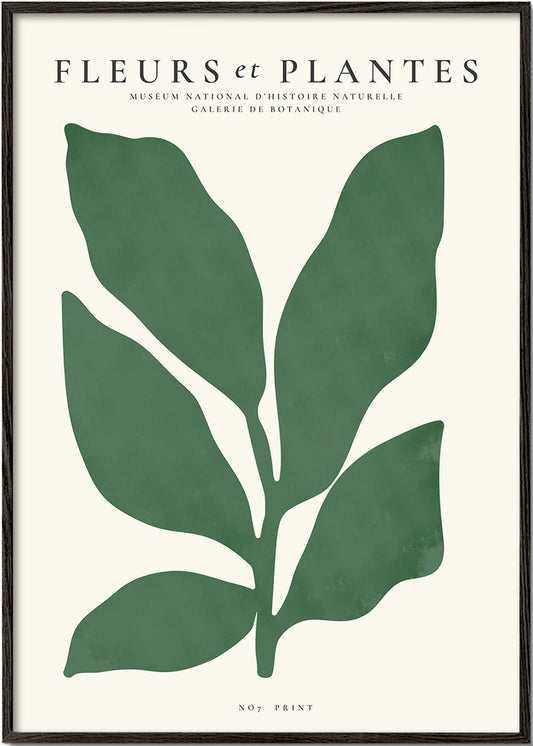 Botanical, Fleurs et plantes - Poster No. 7