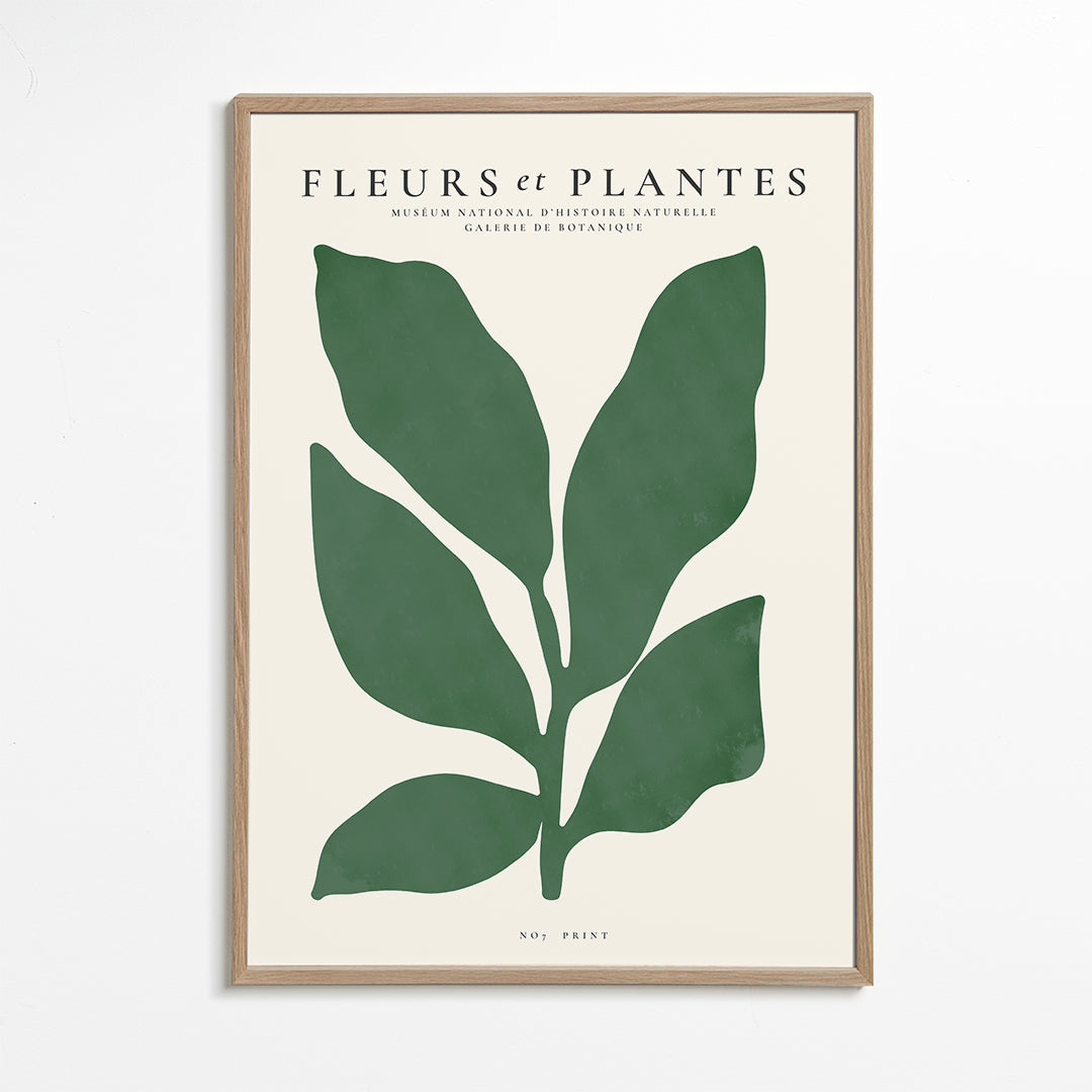 Botanical, Fleurs et plantes - Poster No. 7