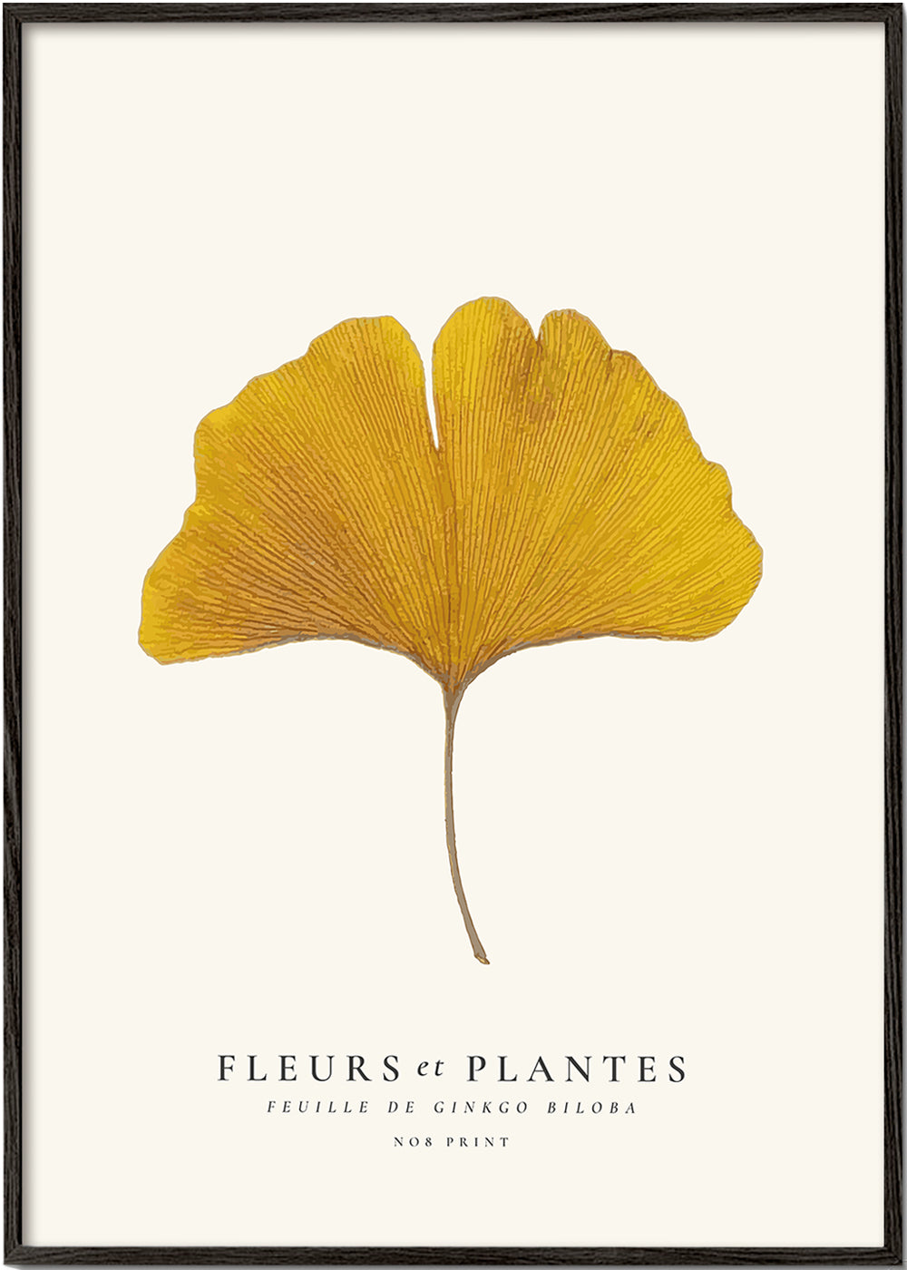 Botanical, Fleurs et plantes -Ginkgo biloba leaf