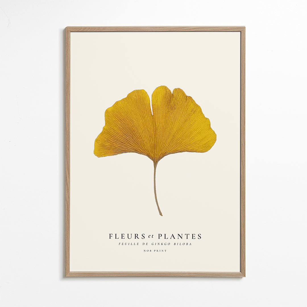 Botanical, Fleurs et plantes -Ginkgo biloba leaf