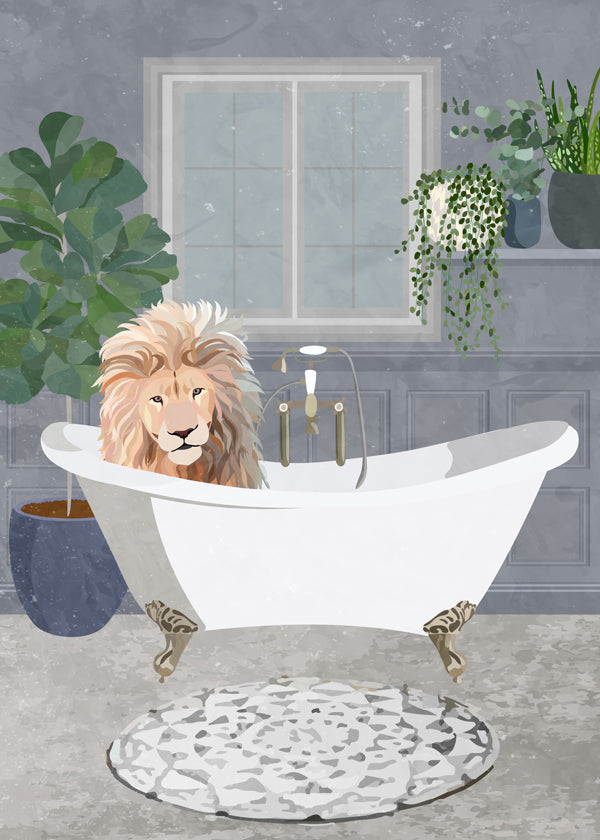 Lion takes a bath