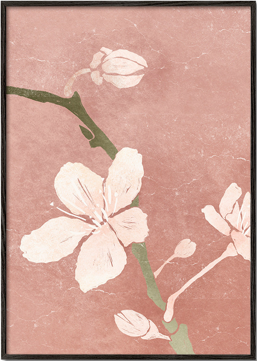 Lámina botánica rosa con flor en primer plano – Black Frame