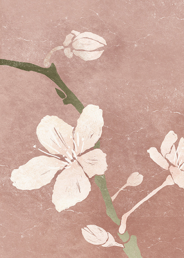 Lámina botánica rosa con flor en primer plano