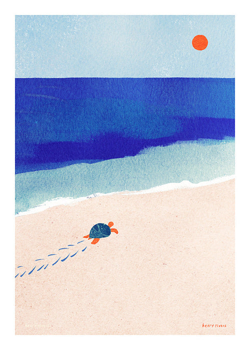 Turtle by the Sea Illustration