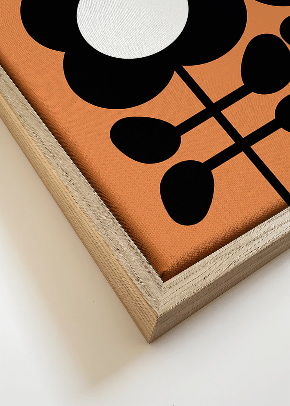 Daisy Mellow Yellow - Frances Collett 