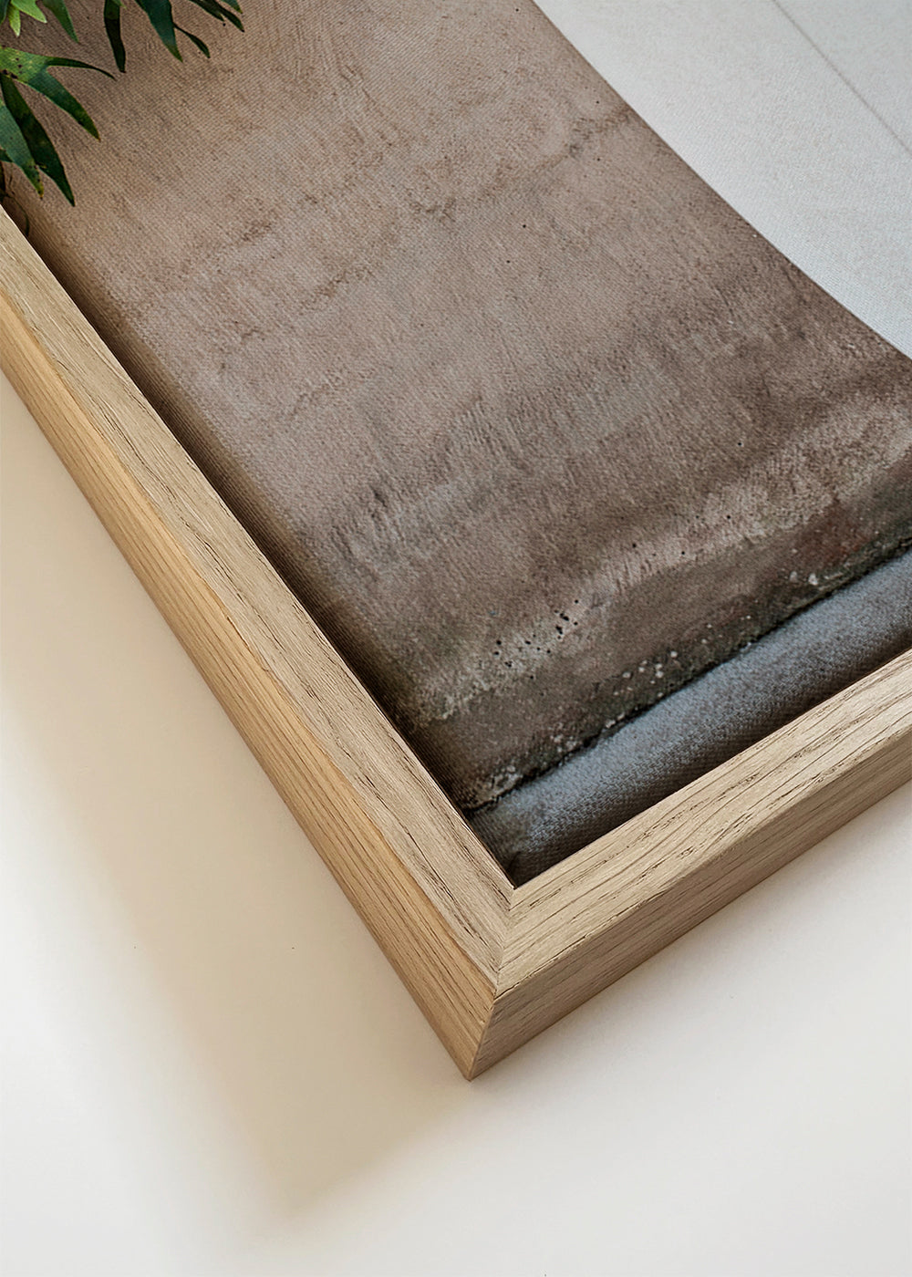 Safari Twinfin - Shot by Clint