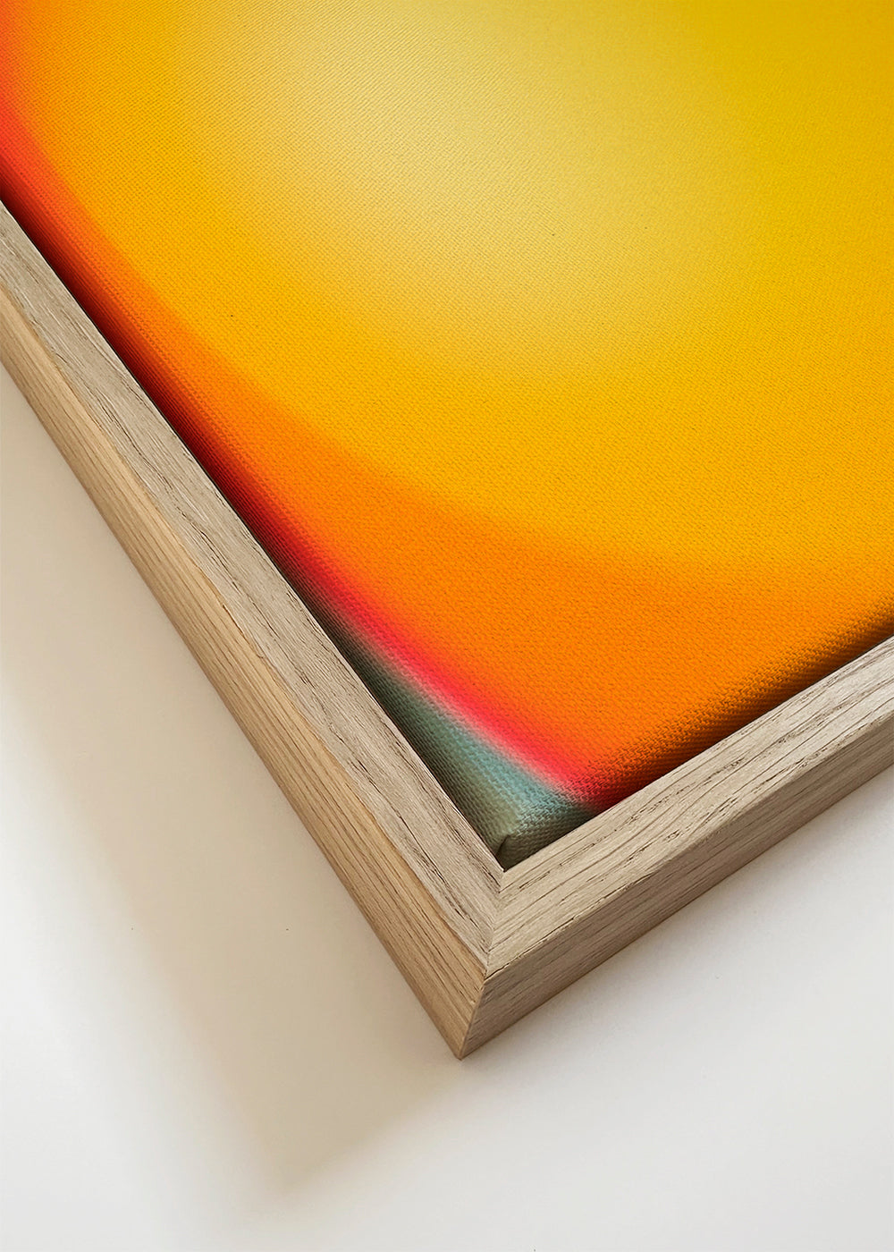 Focus 1 - Jazzberry Blue 