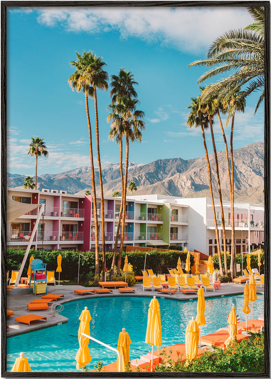 Palm Springs Saguaro - Bethany Young