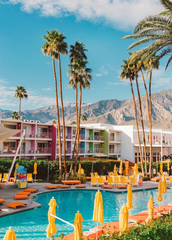 Palm Springs Saguaro - Bethany Young