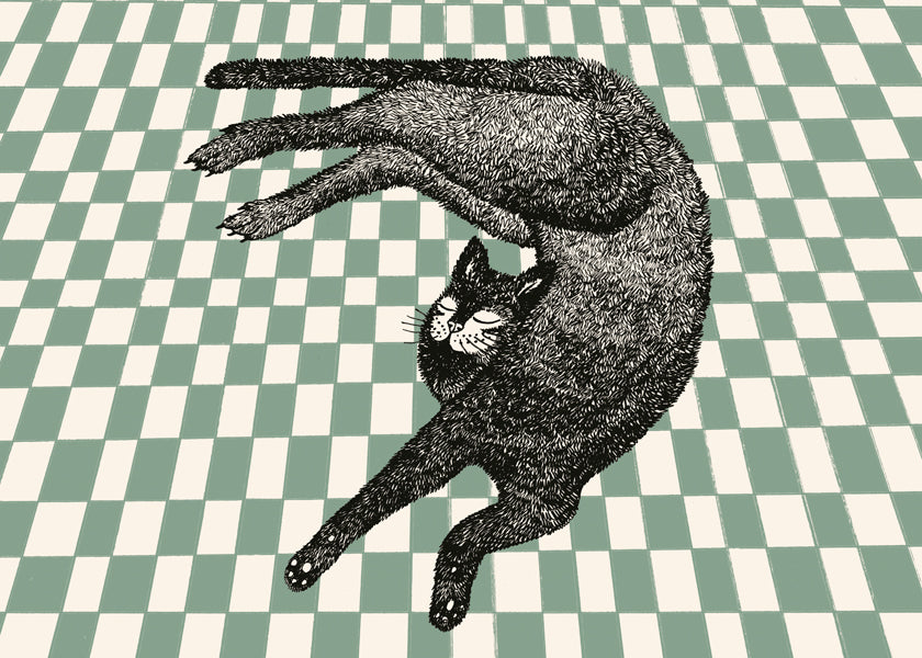 Sleeping Cat III - Kasia Walentynowicz