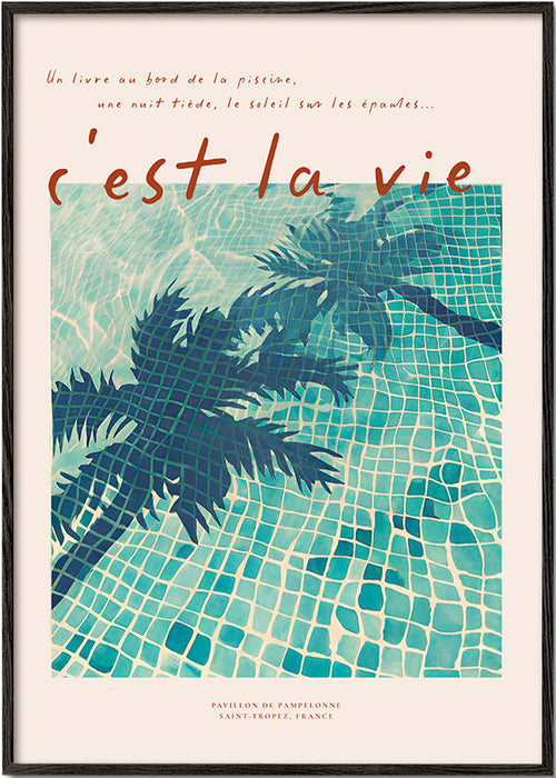 Pool illustration with palm shadows