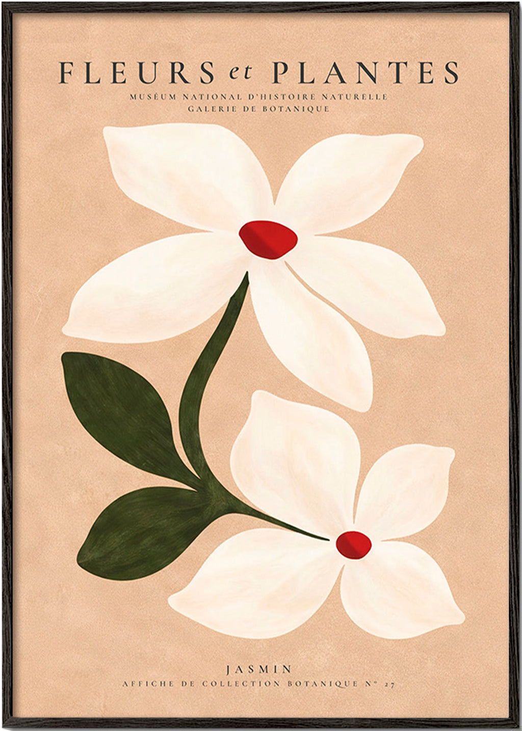 Botanical print jasmine on beige background