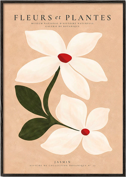 Botanical print jasmine on beige background