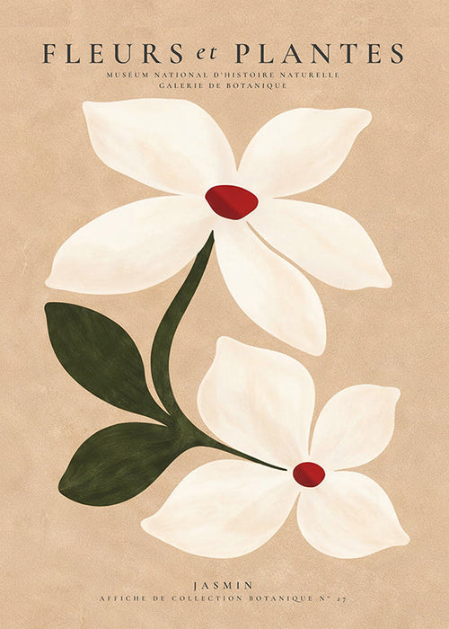Botanical print jasmine on beige background