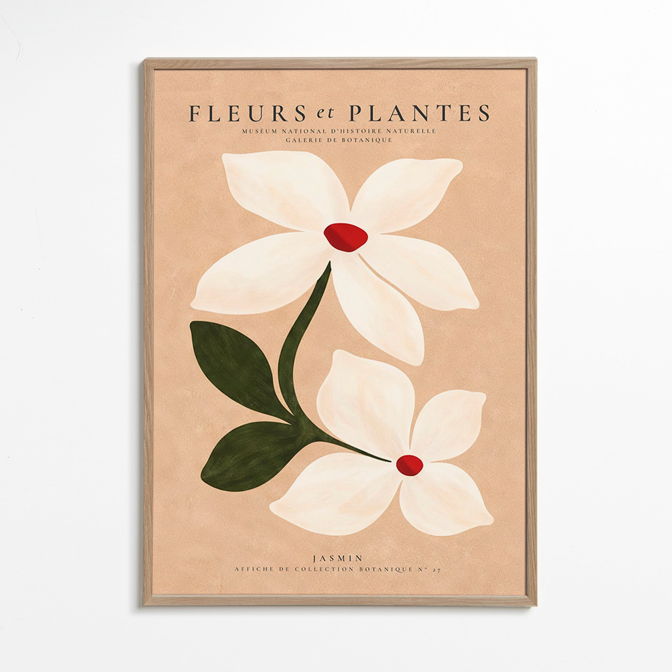 Botanical print jasmine on beige background