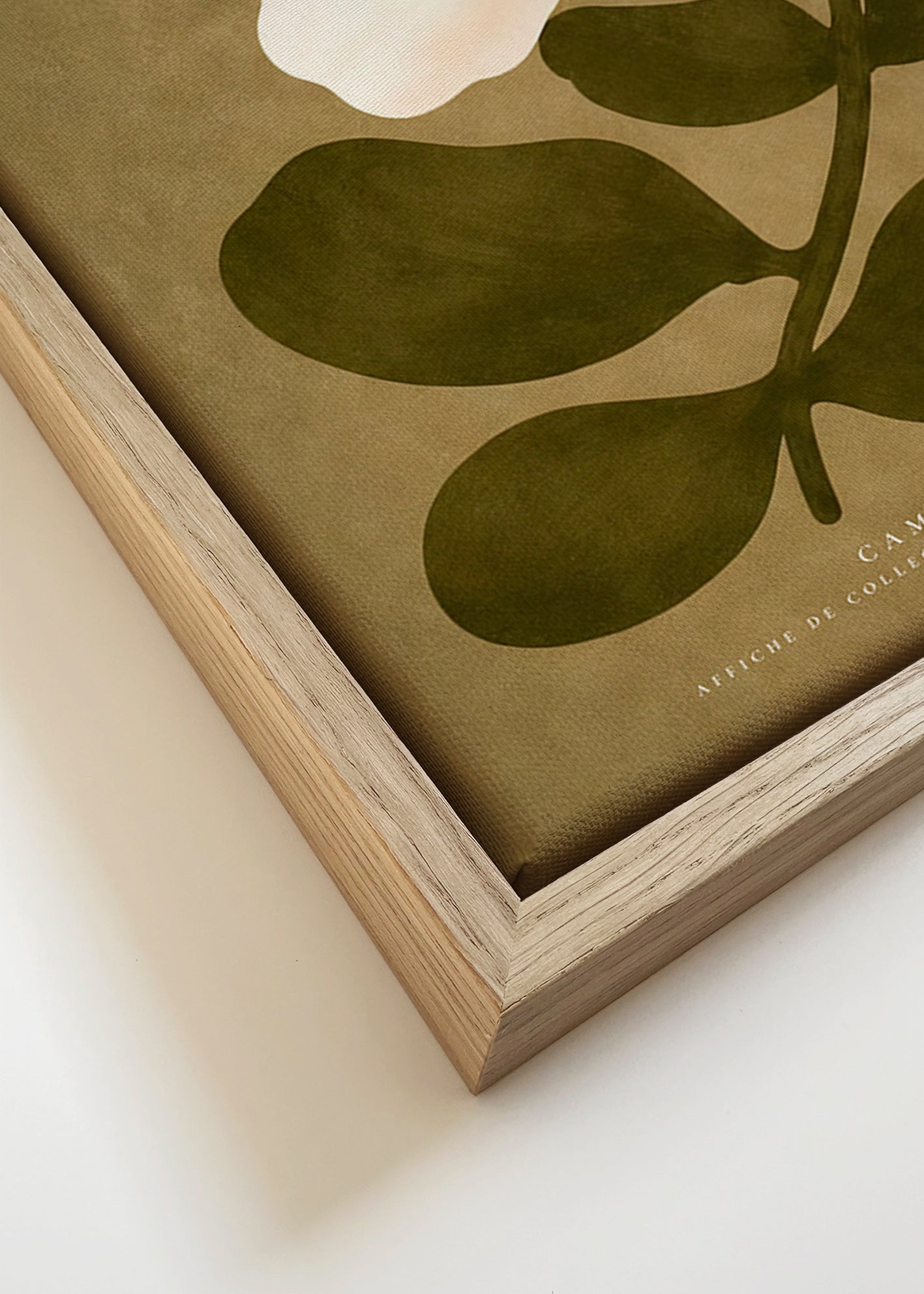 Botanical print: white camellia on olive background