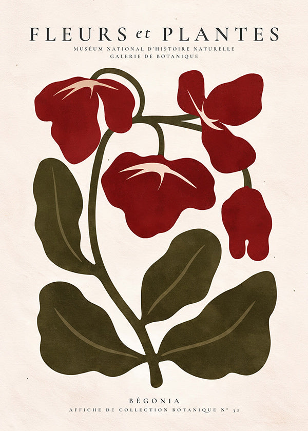 Botanical print: Red begonia artwork
