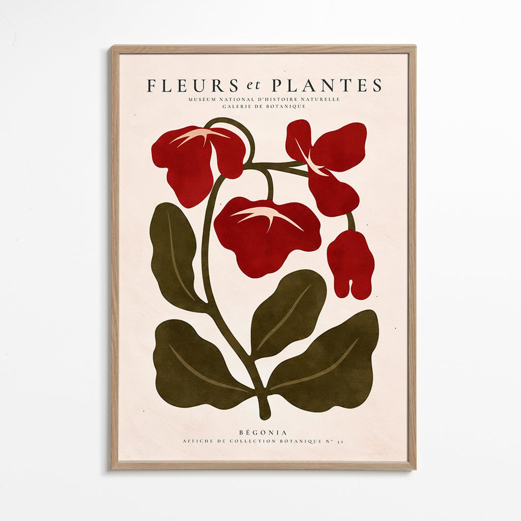 Botanical print: Red begonia artwork