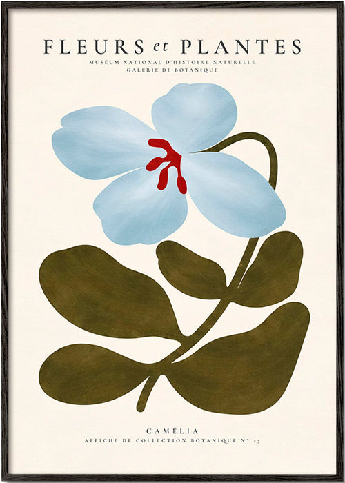 Botanical print Blue Camellia