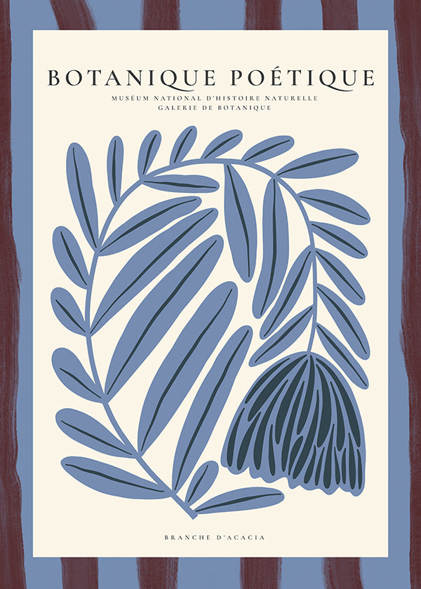 Botanical print: stylized blue acacia