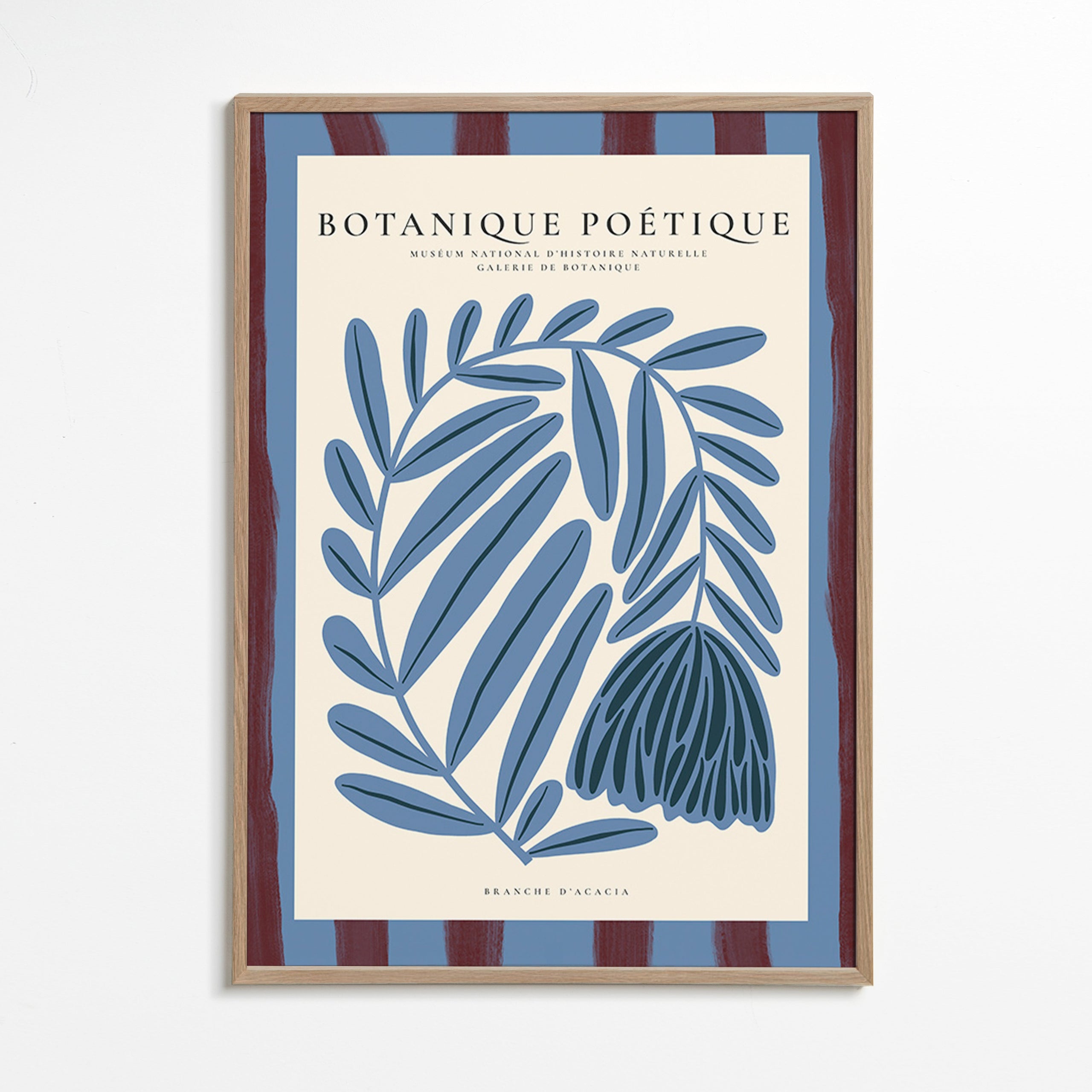 Botanical print: stylized blue acacia