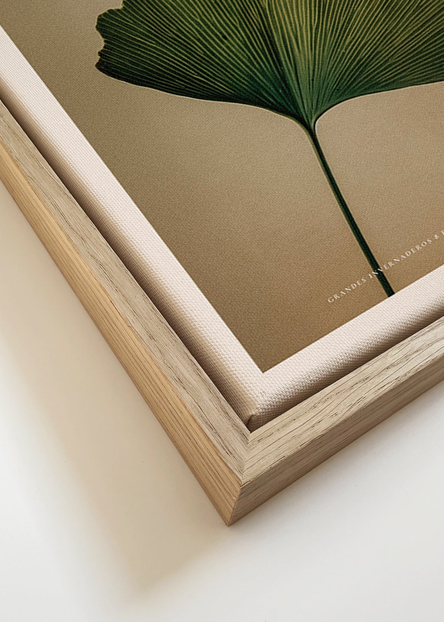 Botanical print featuring a ginkgo leaf and classic typography