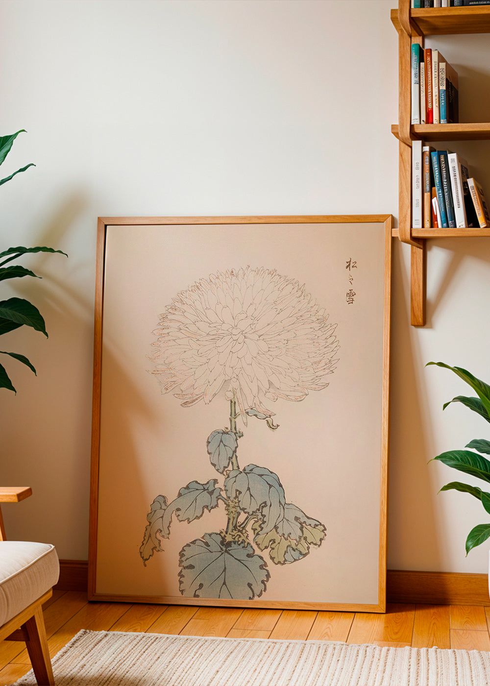 Botanical print: Japanese chrysanthemum study