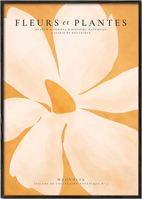 Botanical print Magnolia large format