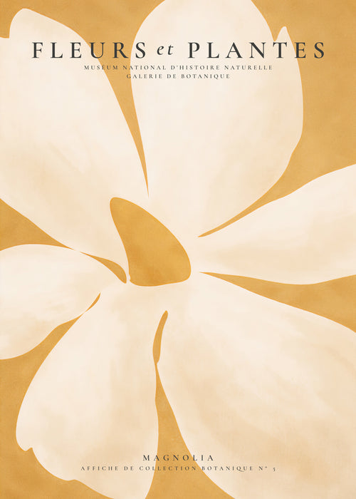 Magnolia - Unframed art print