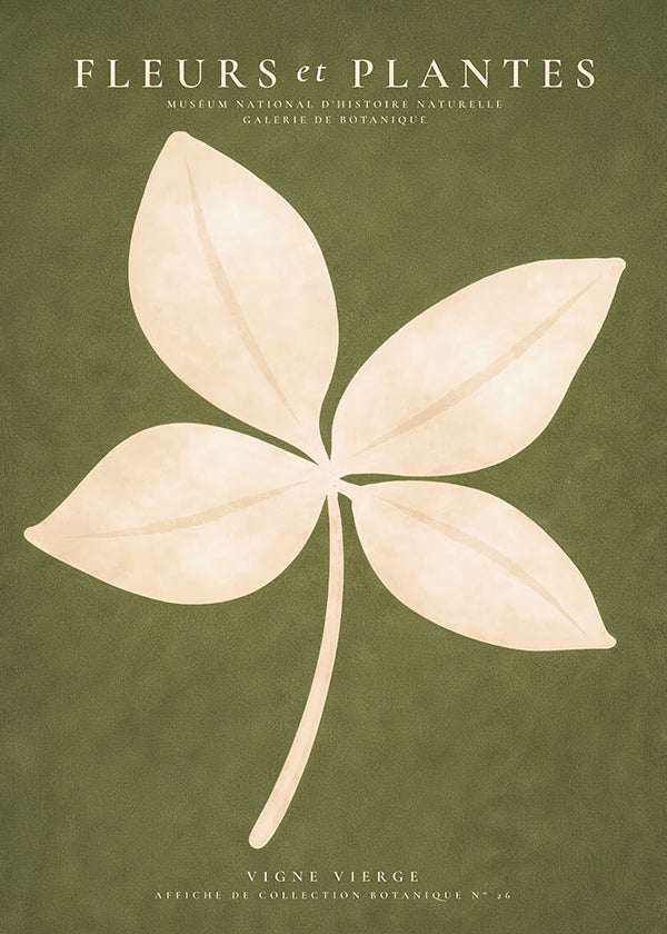 Botanical print: cream leaf on green field