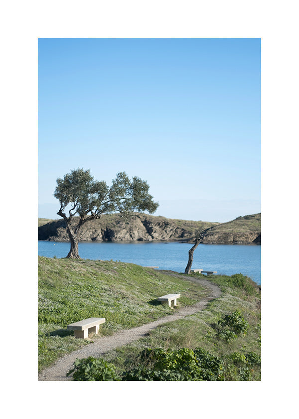 Landscape art coastal path serenity