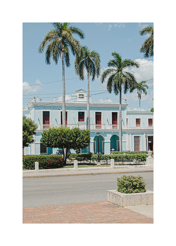 City art: blue façade with palms