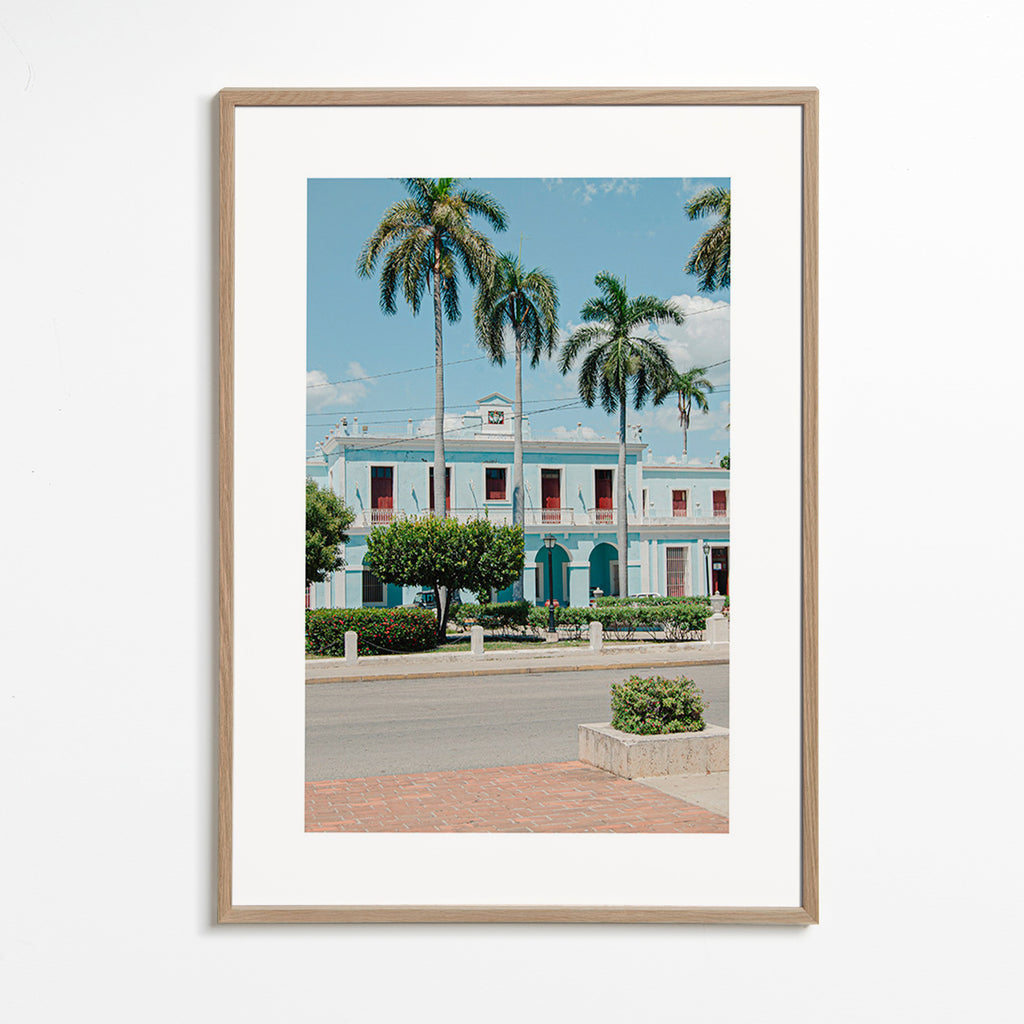City art: blue façade with palms